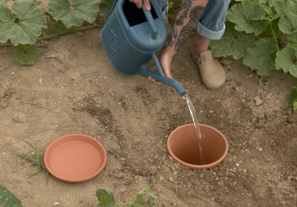Système d'irrigation Aqua’do Pot terre cuite 3,8L - DEROMA
