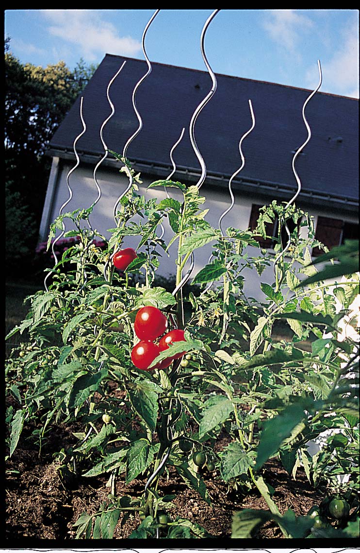 tuteur tomates spirale H1m80