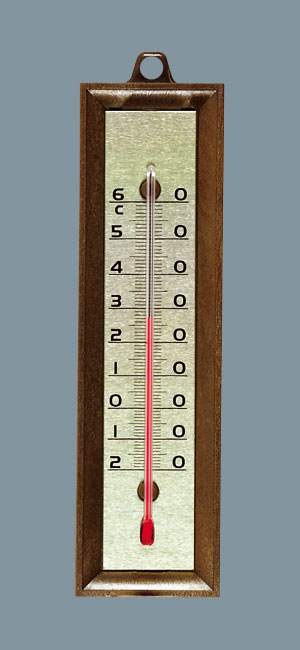 thermomètre plastique 16 cm - STIL