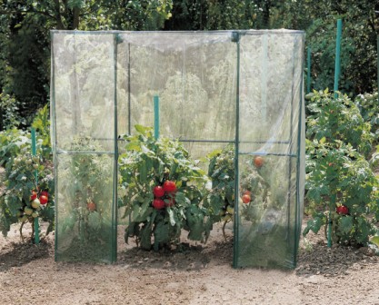 Serre de jardin tomates - NORTENE
