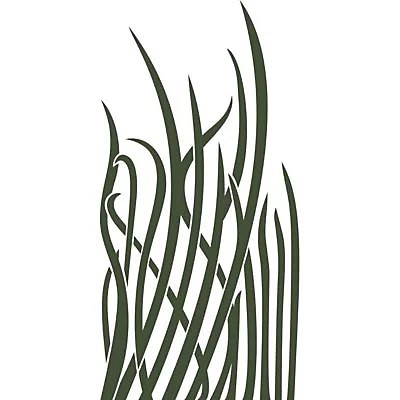 Pochoir adhésif 31 x 61 cm herbes hautes - RAPHAËL LOISIRS