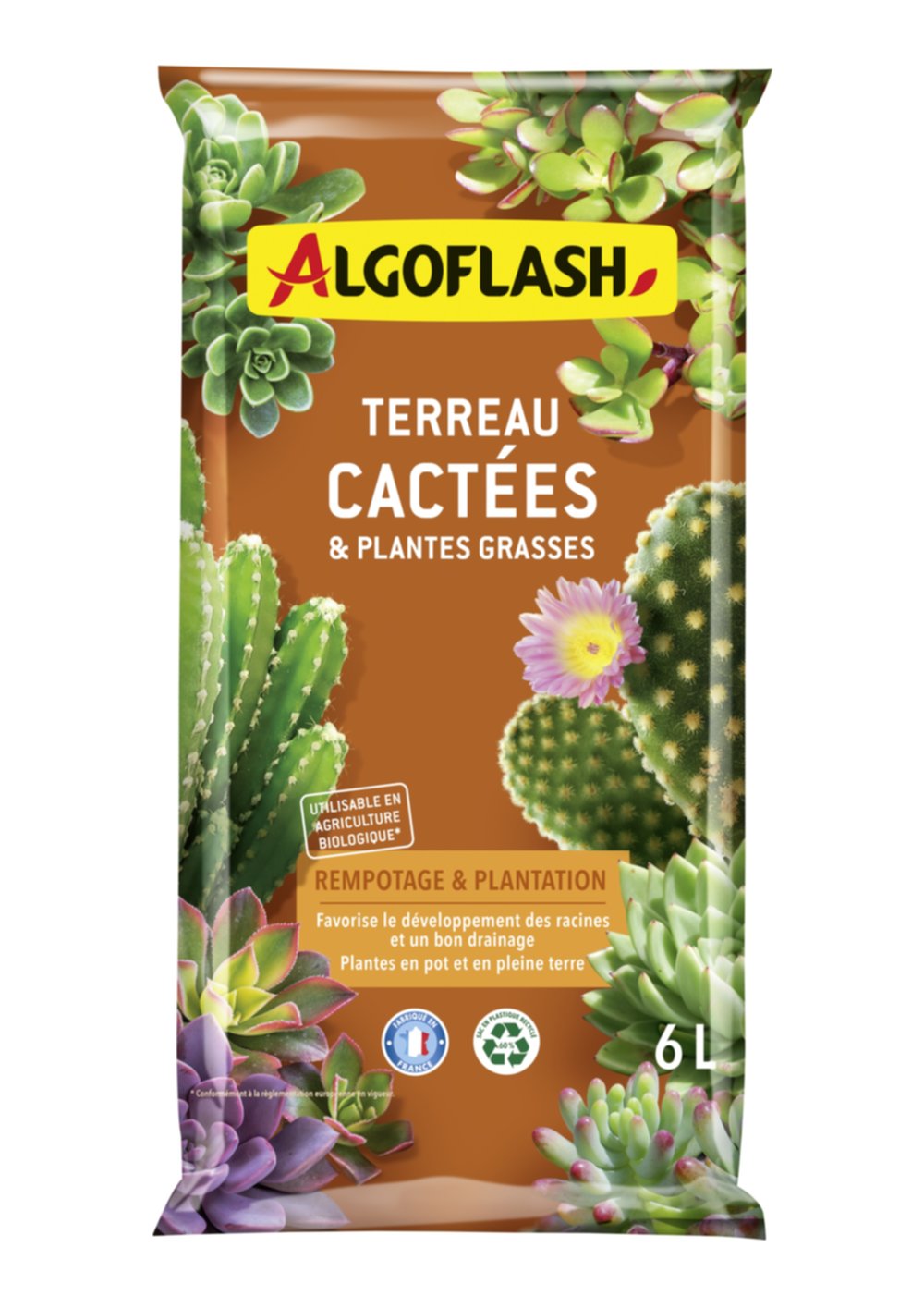 Terreau cactées/plantes grasses 6 L - ALGOFLASH