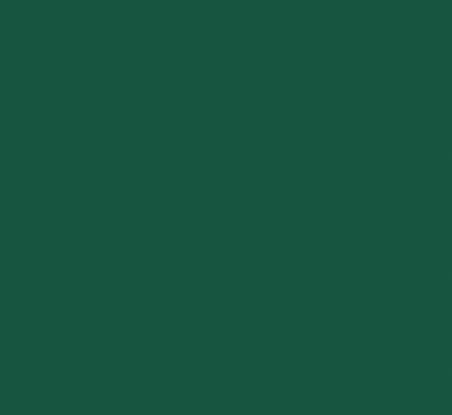 Peinture esprit-déco vert armerie mat 2,5L - RIPOLIN