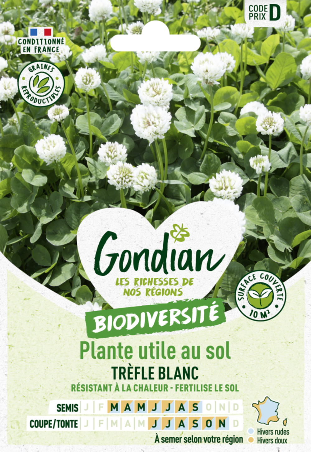 Plantes utiles au sol - Trèfle Blanc - GONDIAN