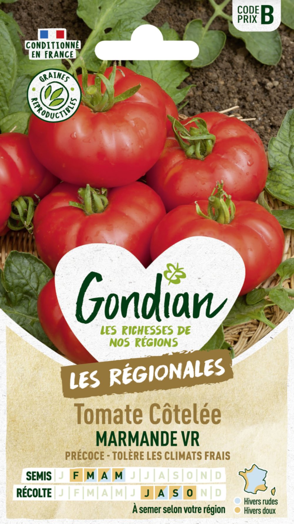 Tomate Marmande - GONDIAN