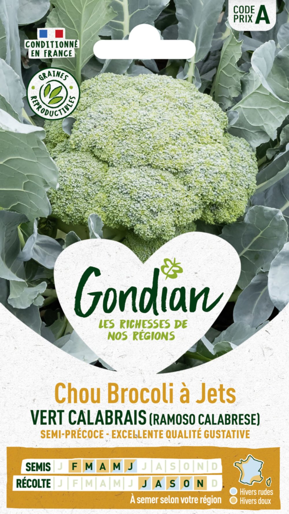 Chou Brocoli Vert Calabrais - GONDIAN