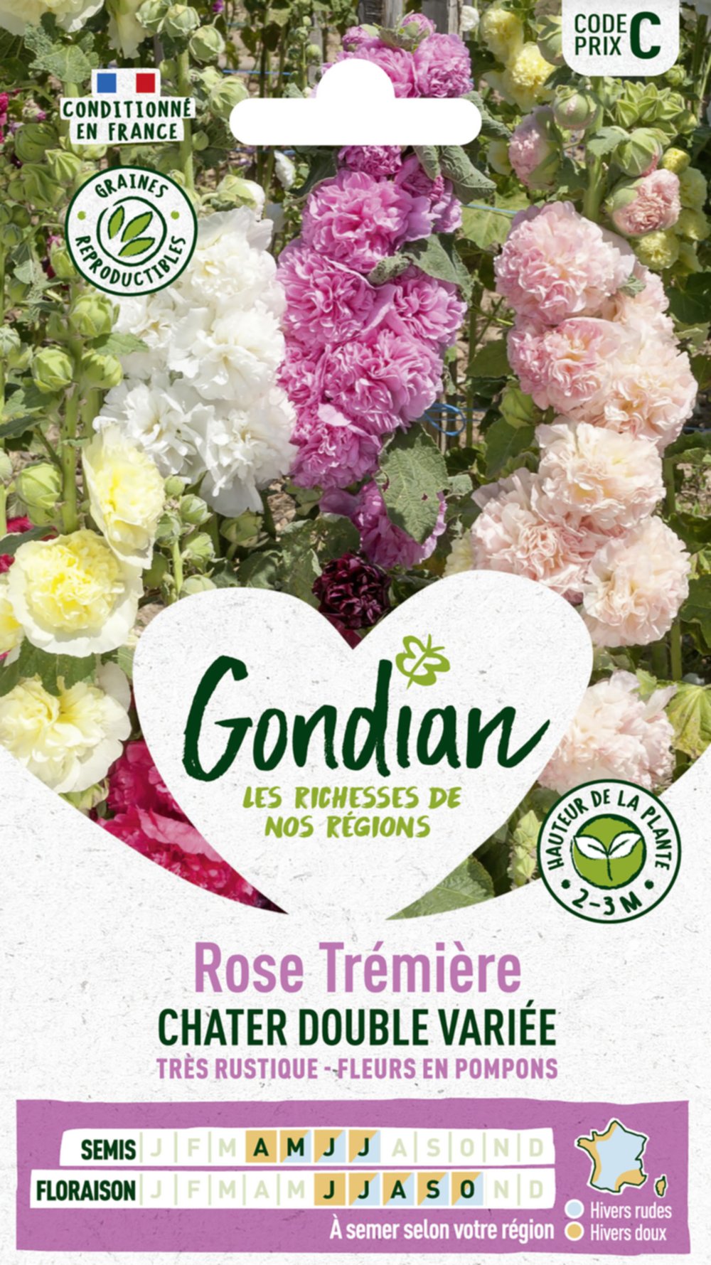 Rose Trémière Extra Chater Varié - GONDIAN