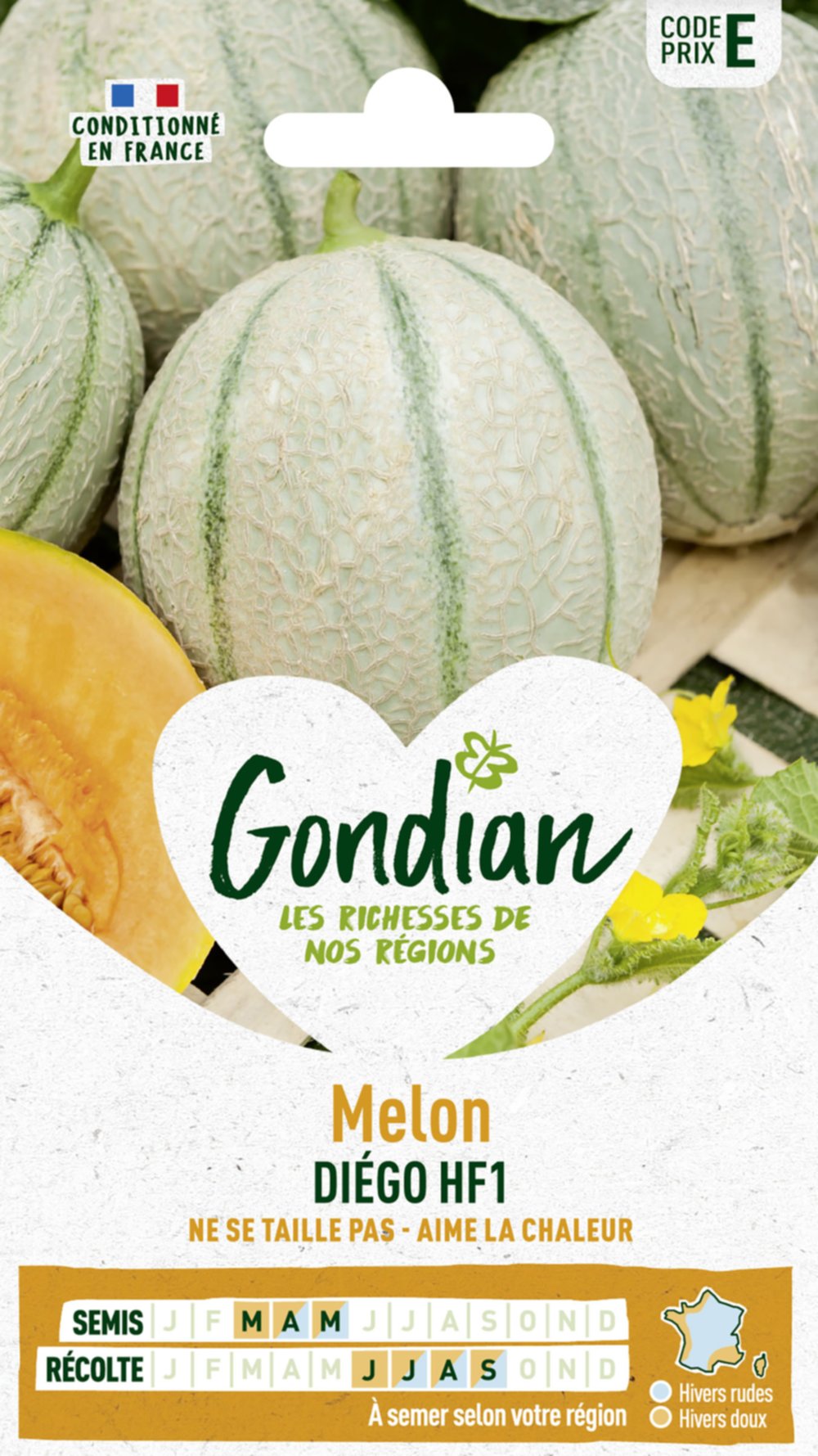 Melon Diego HF1 - GONDIAN