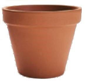 Pot standard 12 cm
