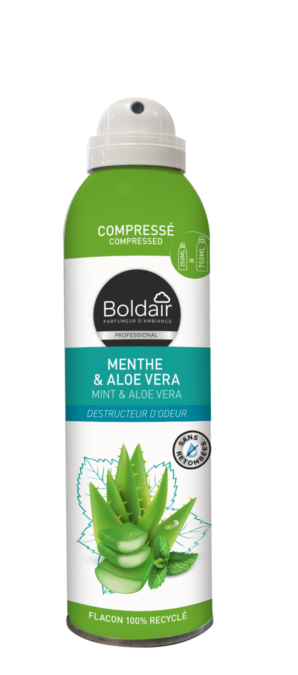 Spray Désodorisant Compressé Menthe/Aloe vera 250ml - BOLDAIR