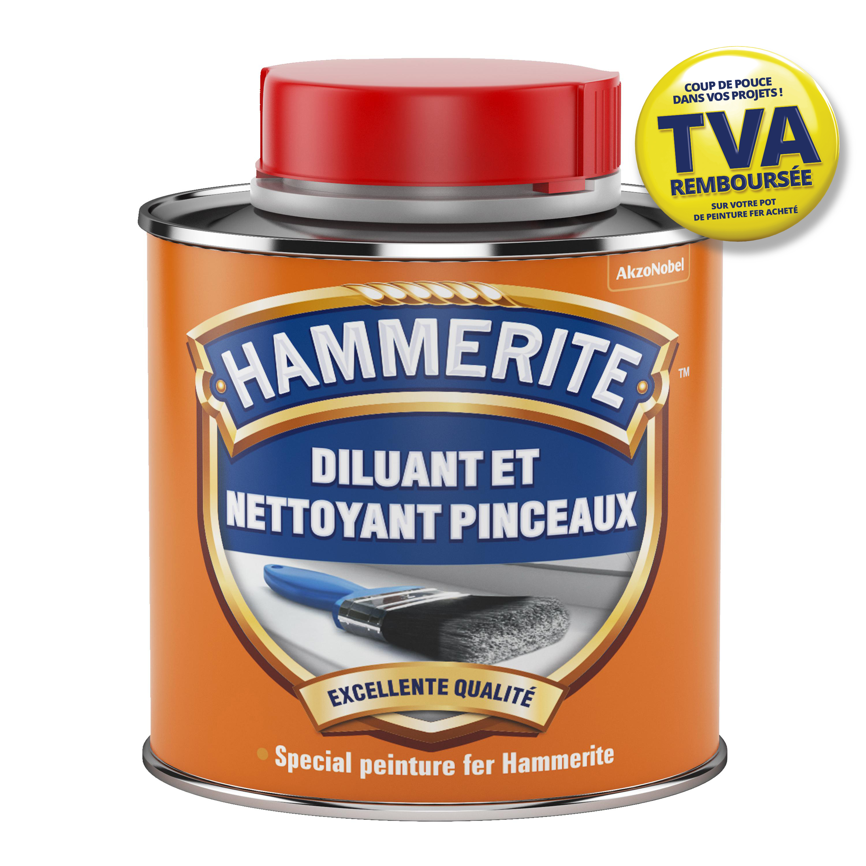 Diluant Nettoyant Pinceaux Spécial Peinture Fer 0,25L - HAMMERITE