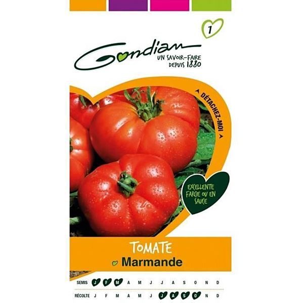 Graines Tomate Marmande - GONDIAN