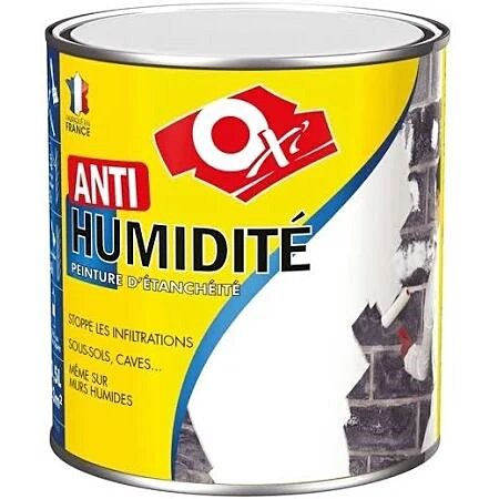 Peinture Anti-Humidité 0,5l
