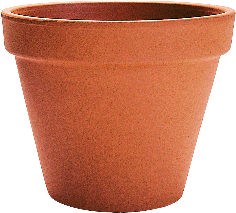 Pot standard 10 cm
